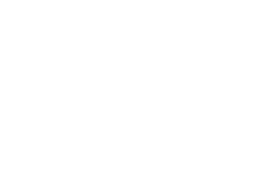 logo_millanel_blank