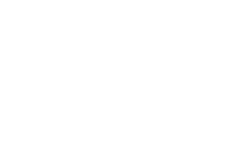 logo_revlon_blank