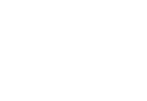 logo_roemmers_blank